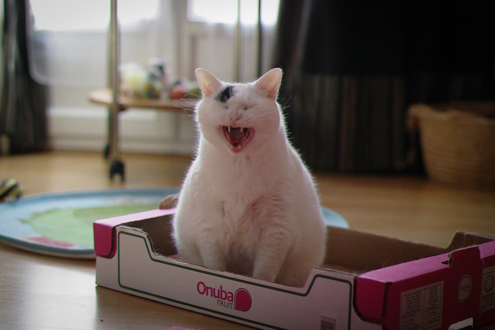 开云体育登入-体育产业资本运作分析，体育产业资本名词解释