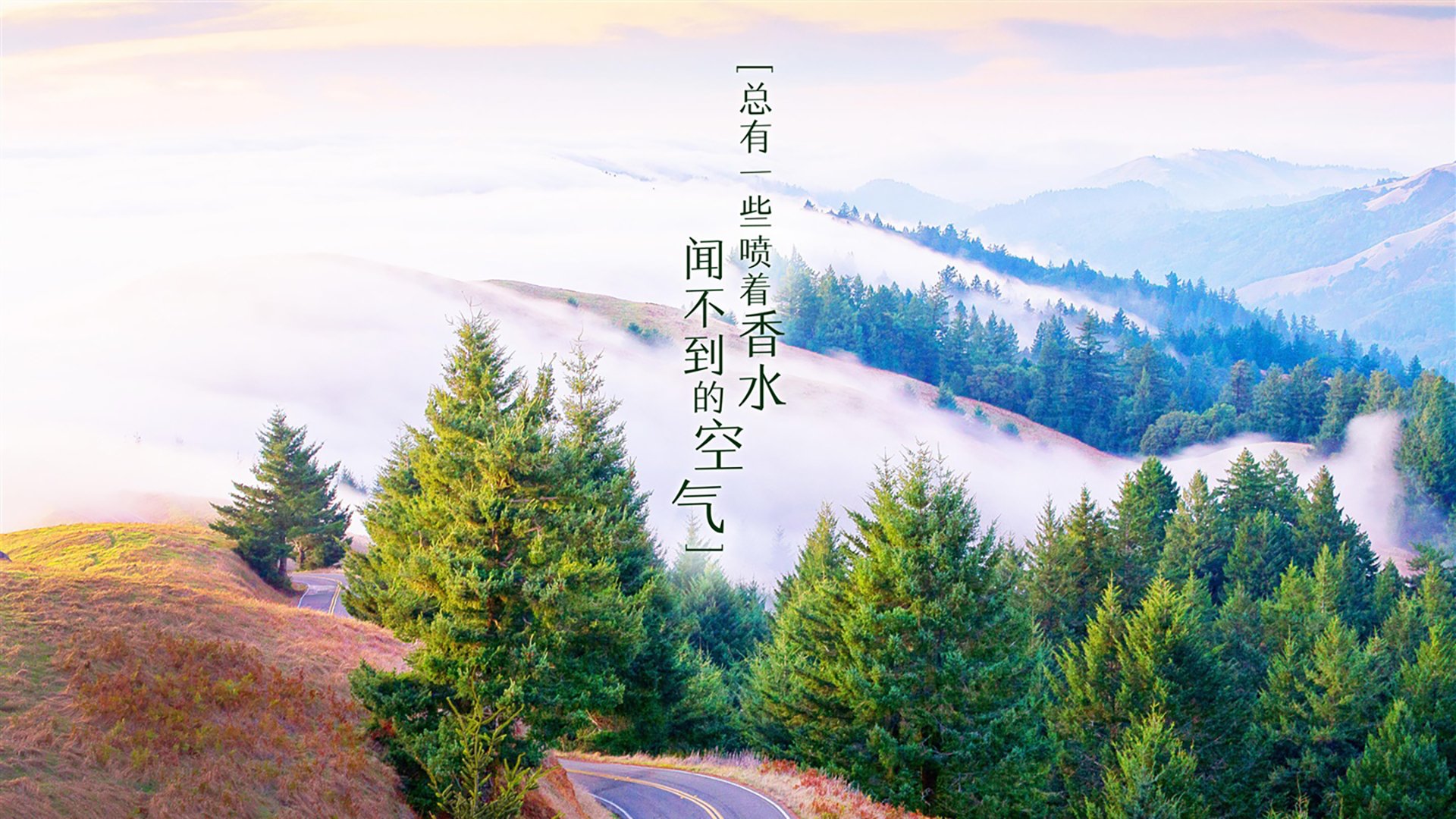 体育人才培养机制创新，培养体育人才的关键是