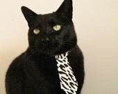 中国女篮进攻端表现突出，中国女篮强势夺金