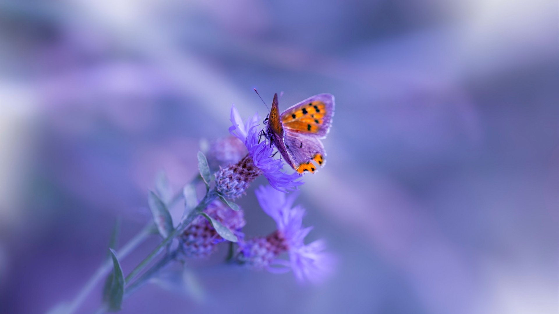 开yun体育-外线节奏拉开是否更利于突破球员冲击篮下，篮球外线进攻战术