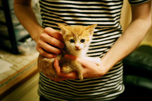 开云娱乐官网-德国队2024年表现：通过团队协作与个人突破走向成功，德国队这几年